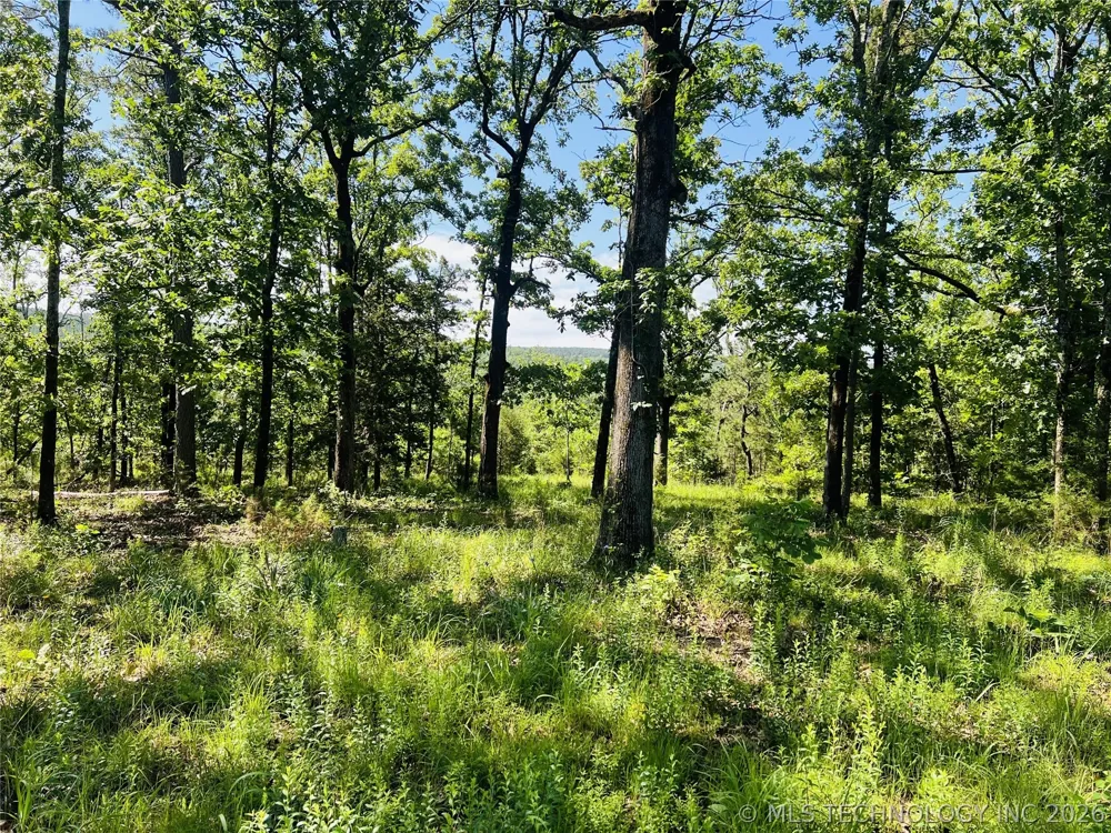 4289 ROAD Clayton, OK 74536