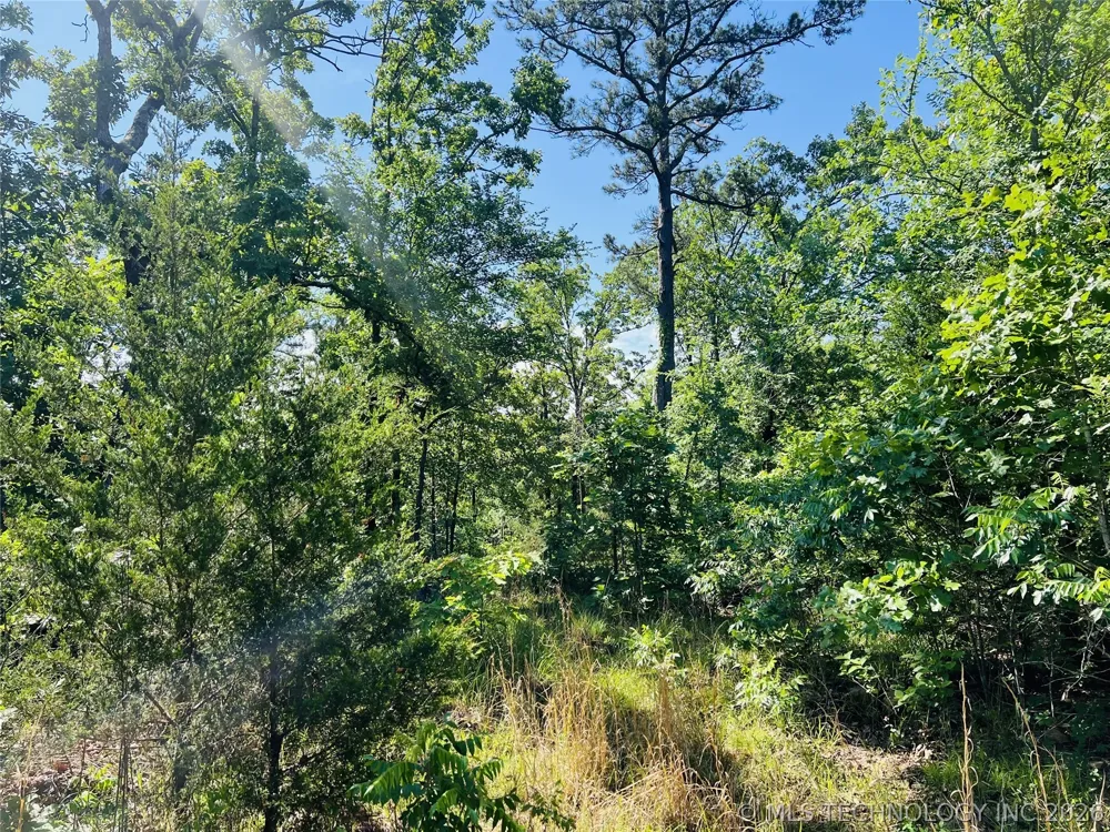 4289 ROAD Clayton, OK 74536