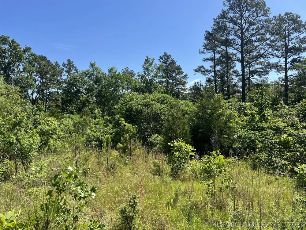 4289 ROAD Clayton, OK 74536