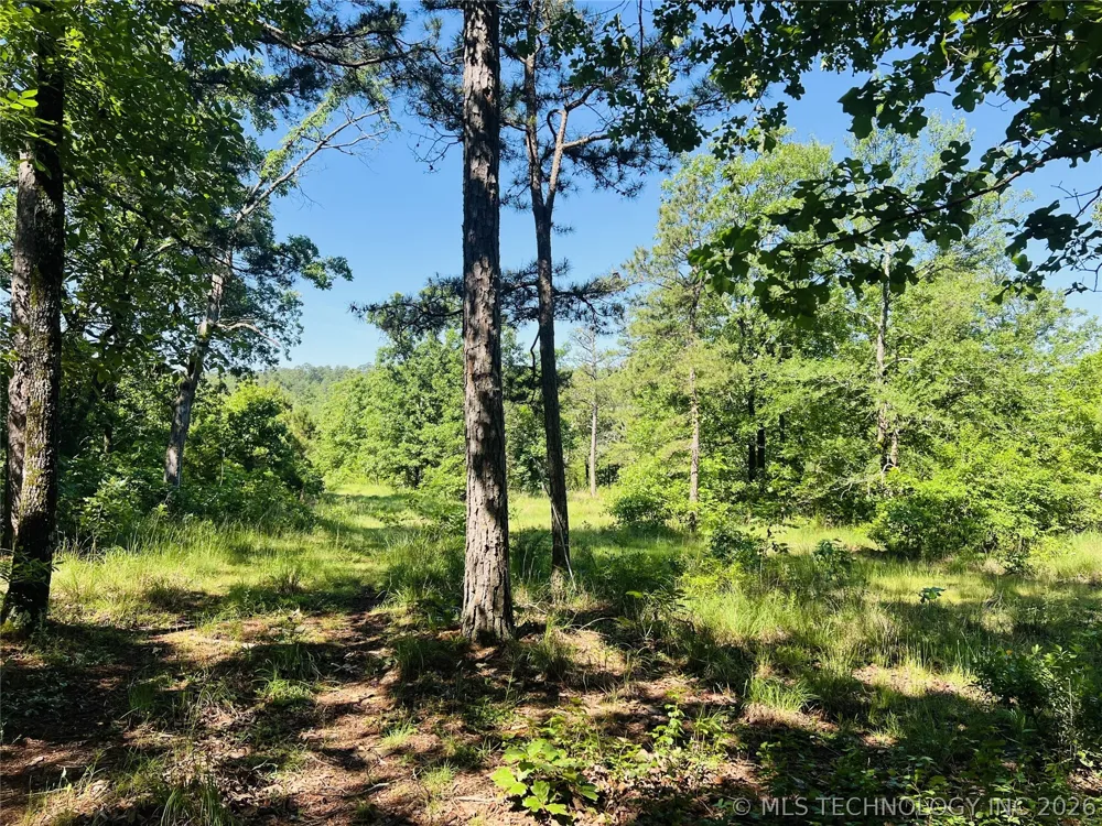 4289 ROAD Clayton, OK 74536