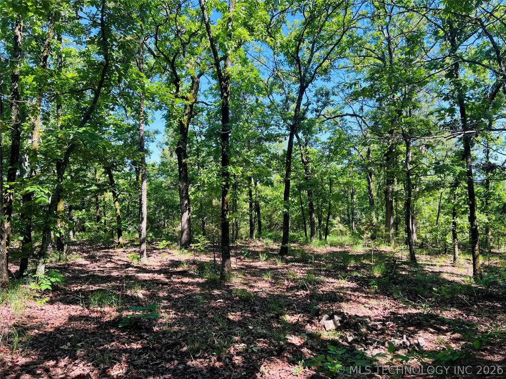 4289 ROAD Clayton, OK 74536