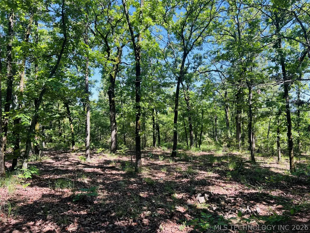 4289 ROAD Clayton, OK 74536