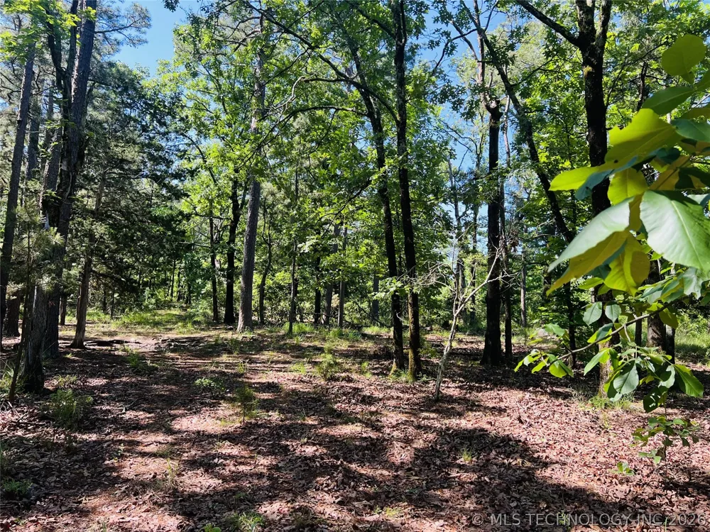 4289 ROAD Clayton, OK 74536