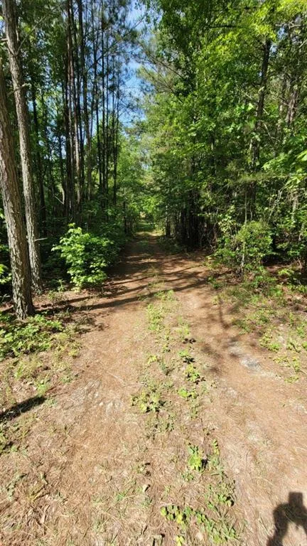 Address Not Shown Whitesburg, GA 30185
