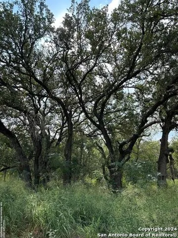 20594 S State Highway 16 Atascosa, TX 78264