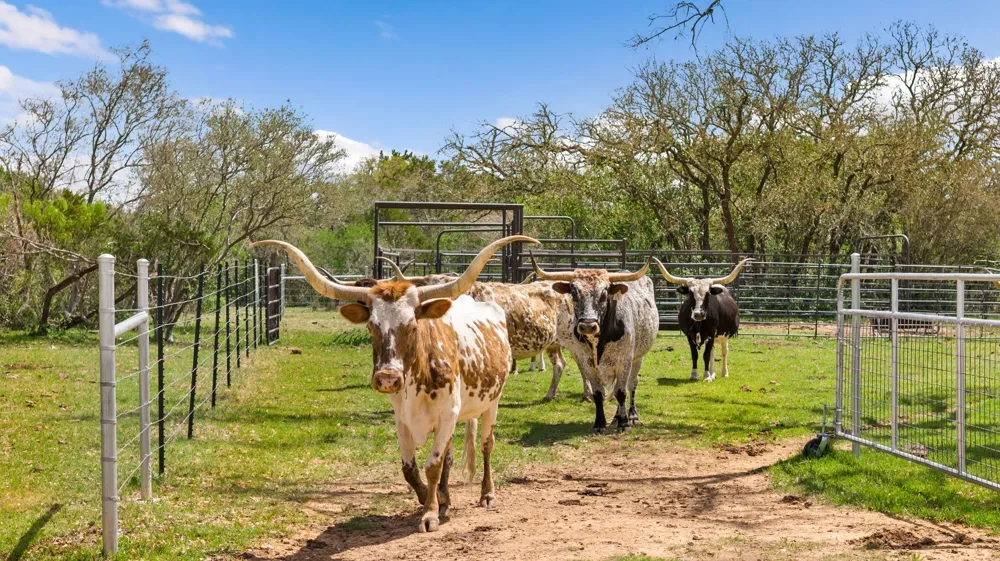 8101 FM 3237 Driftwood, TX 78619