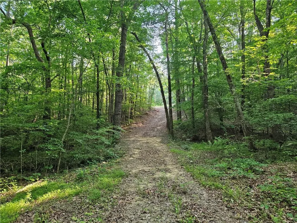 0 Ponderosa Trail Dallas, GA 30132