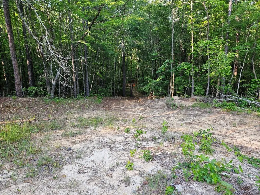 0 Ponderosa Trail Dallas, GA 30132