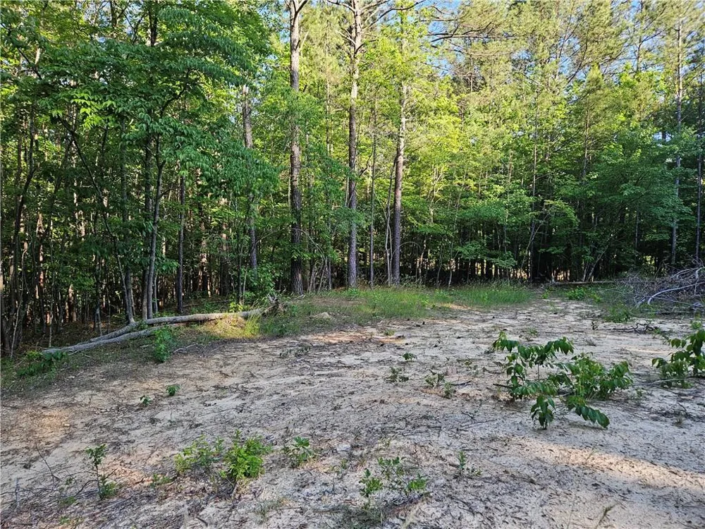0 Ponderosa Trail Dallas, GA 30132