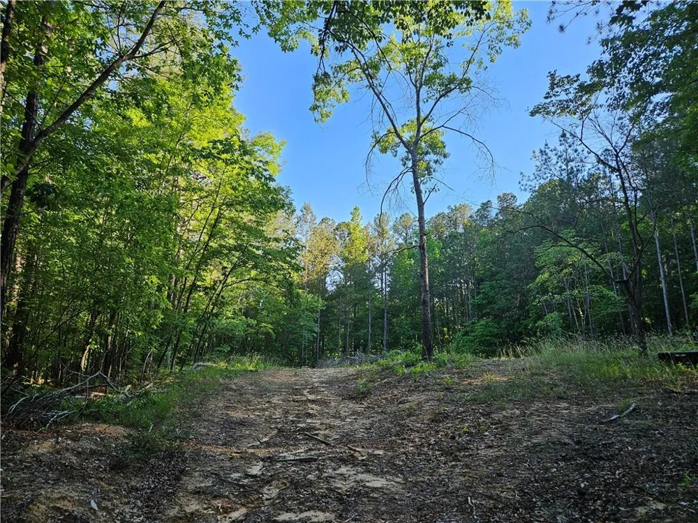 0 Ponderosa Trail Dallas, GA 30132