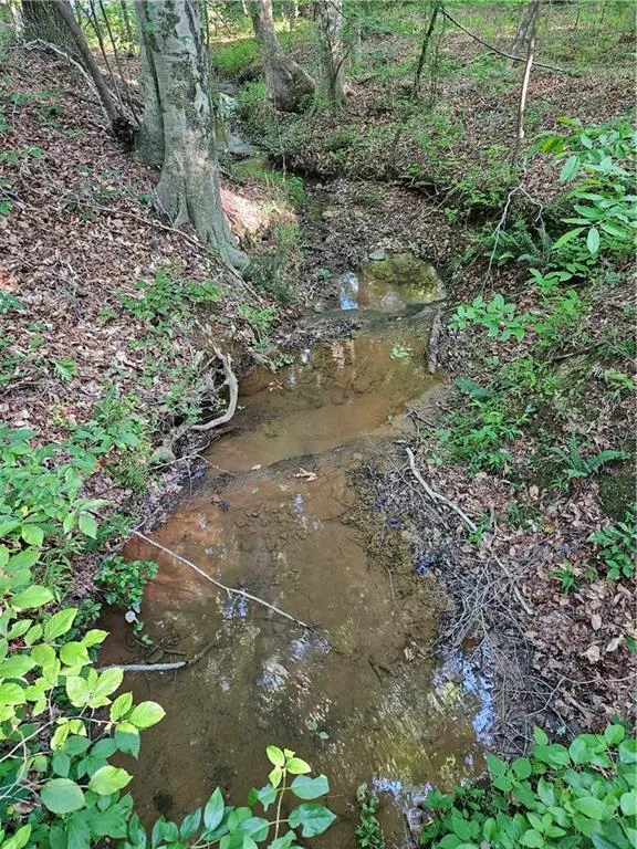 0 Ponderosa Trail Dallas, GA 30132