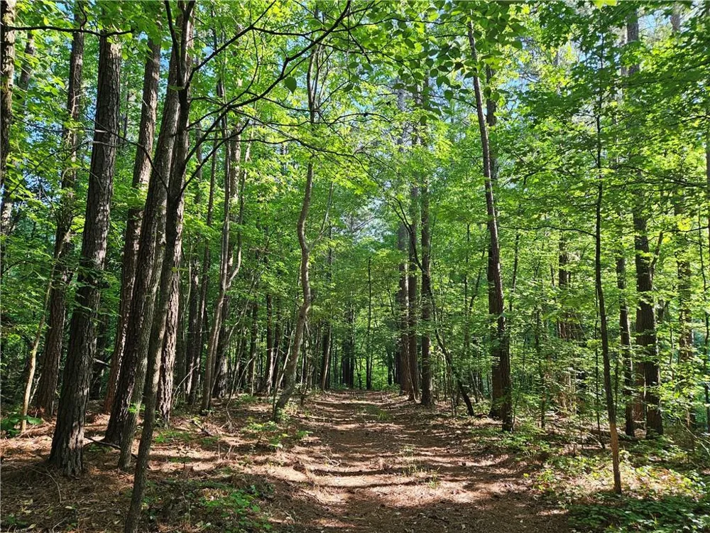 0 Ponderosa Trail Dallas, GA 30132