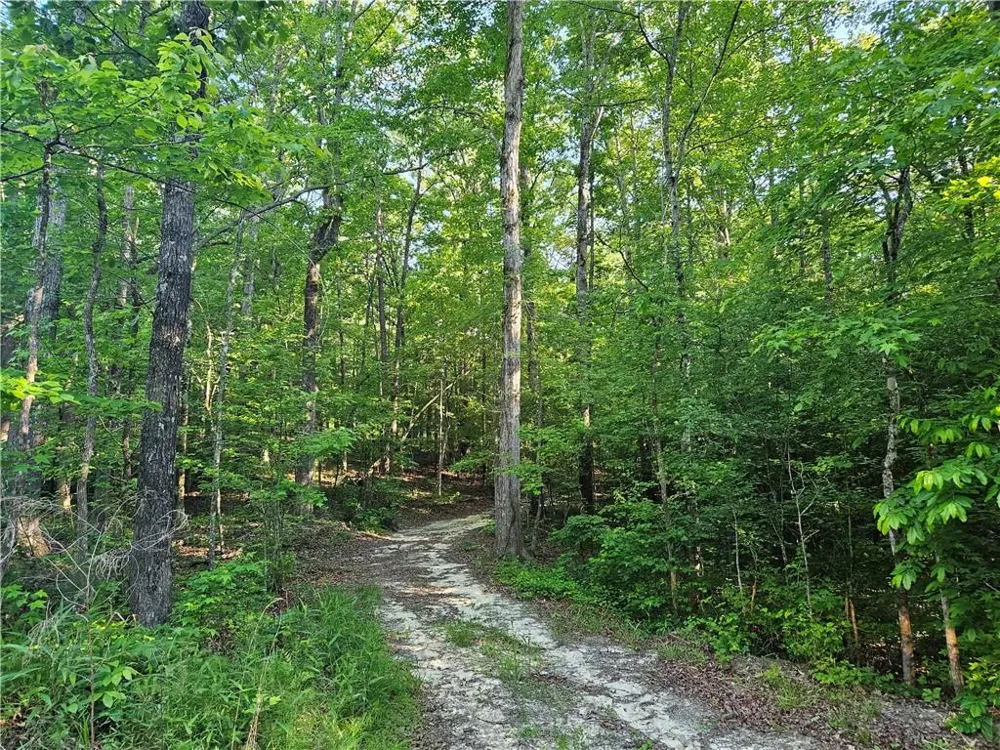 0 Ponderosa Trail Dallas, GA 30132