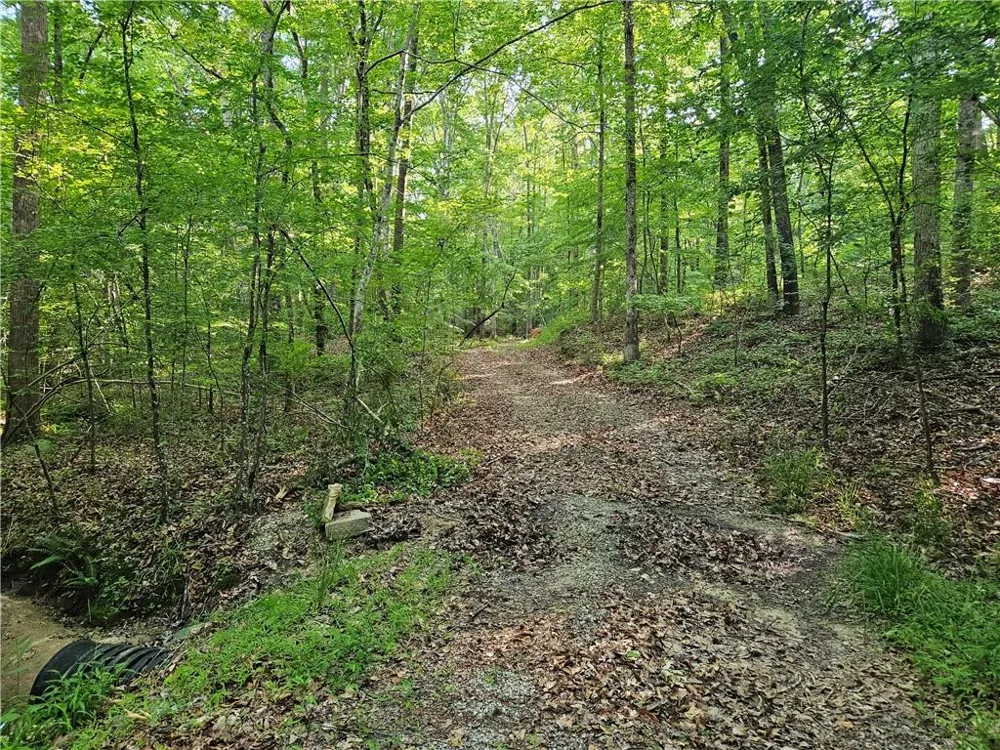 0 Ponderosa Trail Dallas, GA 30132