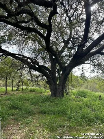 20588 S State Highway 16 Von Ormy, TX 78073