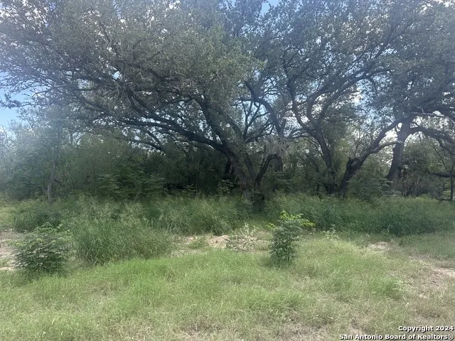 20588 S State Highway 16 Von Ormy, TX 78073
