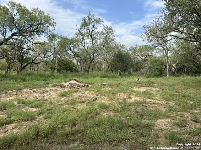 20588 S State Highway 16 Von Ormy, TX 78073