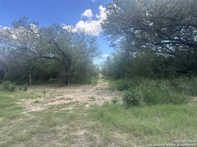 20588 S State Highway 16 Von Ormy, TX 78073