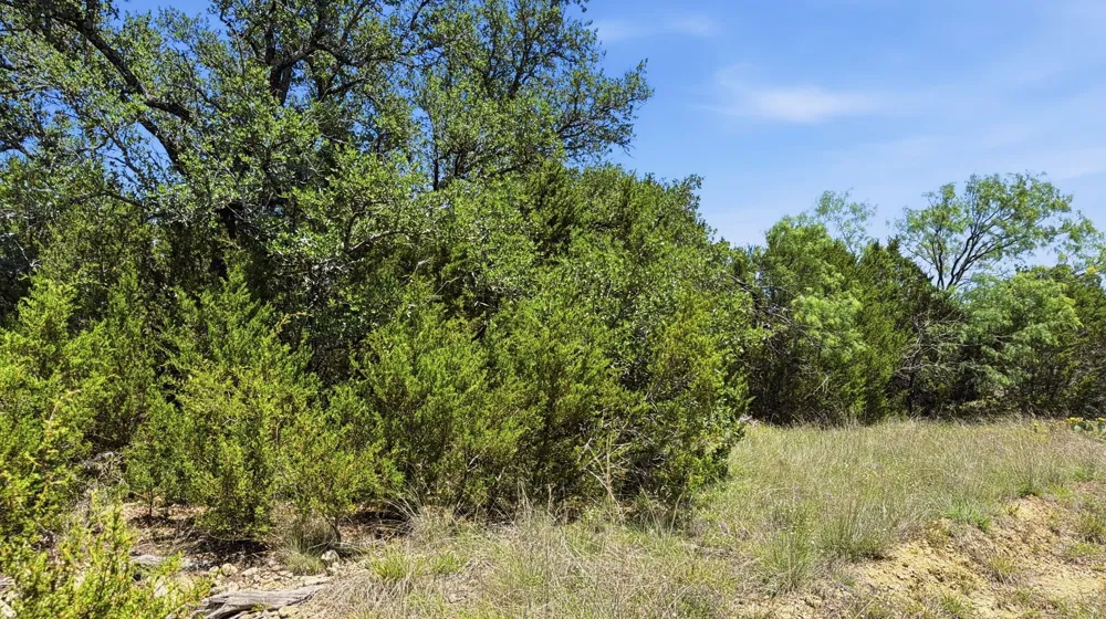 Pr 4212 Evant, TX 76566
