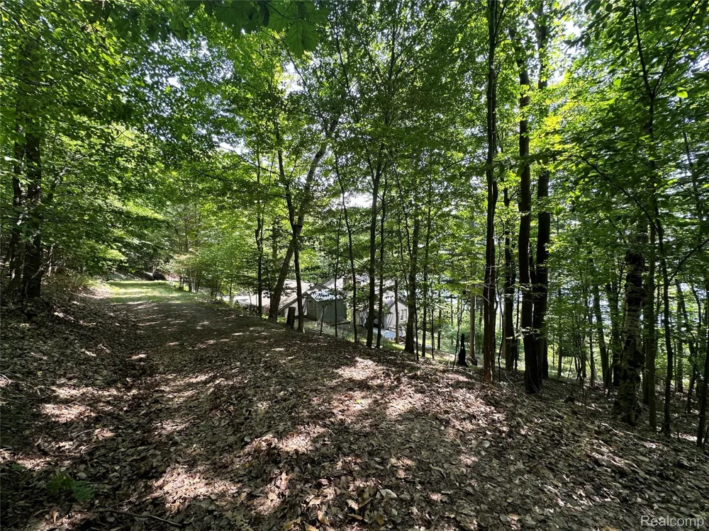 Spring Valley Drive Lake Township, MI 49617