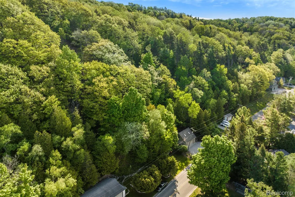 Spring Valley Drive Lake Township, MI 49617