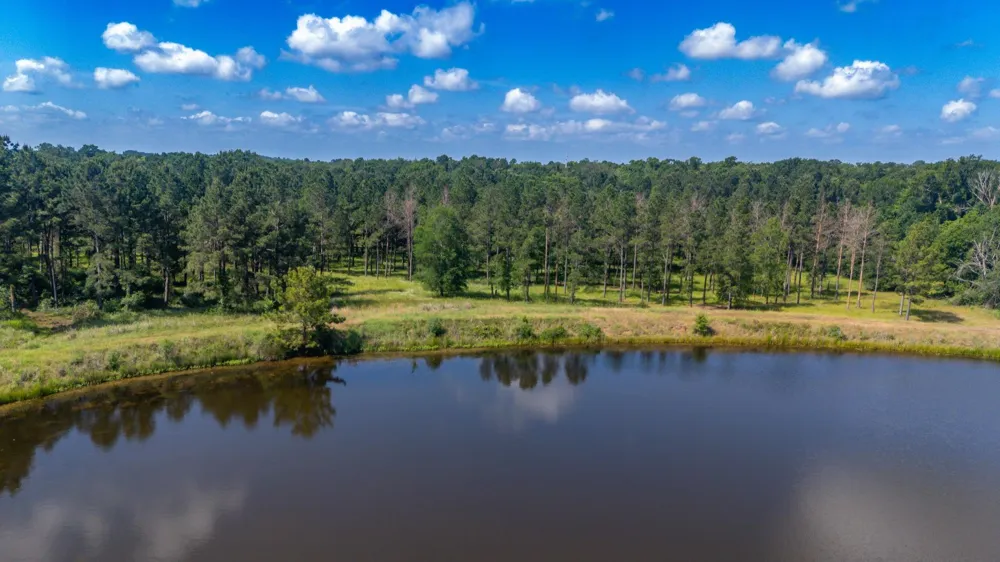 1950 Buckhorn Creek Drive Crockett, TX 75835