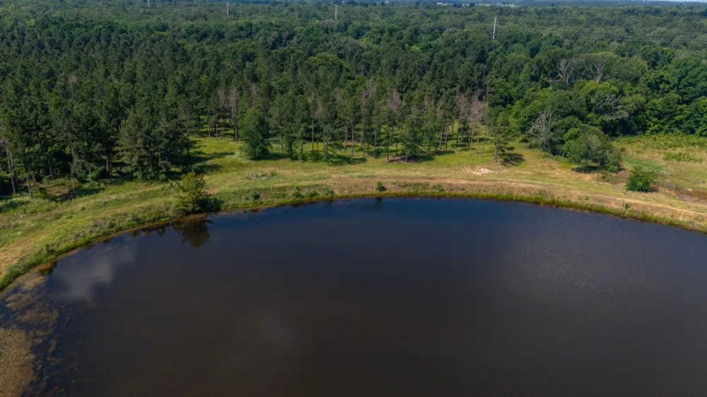 1950 Buckhorn Creek Drive Crockett, TX 75835