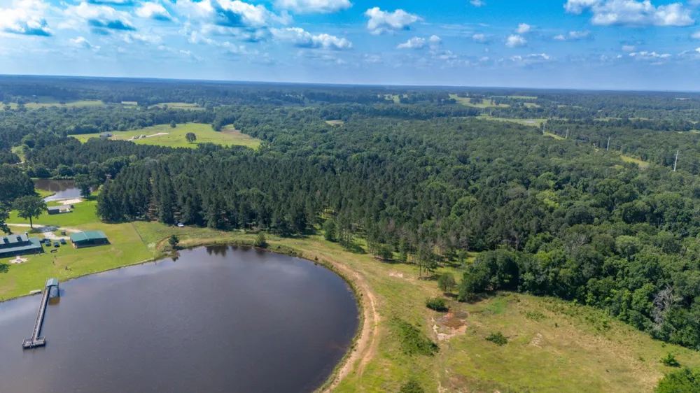 1950 Buckhorn Creek Drive Crockett, TX 75835
