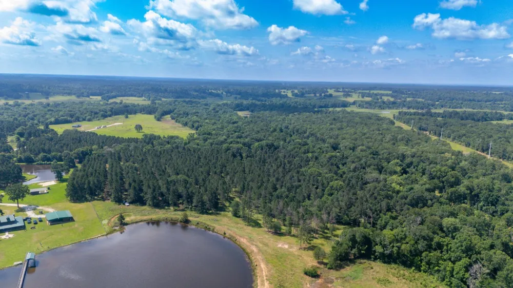 1950 Buckhorn Creek Drive Crockett, TX 75835