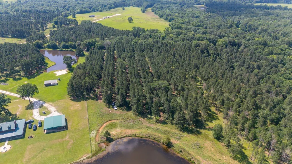 1950 Buckhorn Creek Drive Crockett, TX 75835
