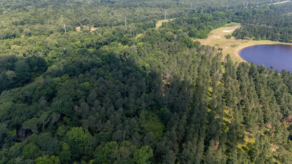 1950 Buckhorn Creek Drive Crockett, TX 75835