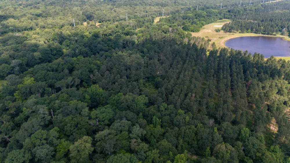 1950 Buckhorn Creek Drive Crockett, TX 75835