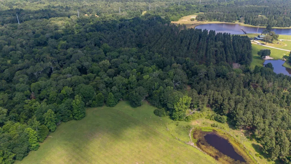 1950 Buckhorn Creek Drive Crockett, TX 75835