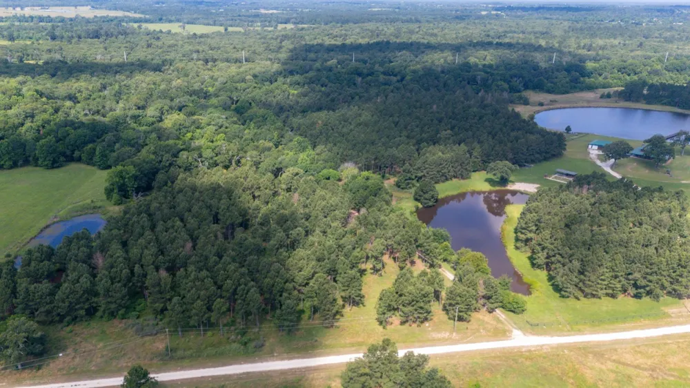 1950 Buckhorn Creek Drive Crockett, TX 75835
