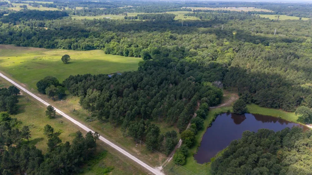1950 Buckhorn Creek Drive Crockett, TX 75835