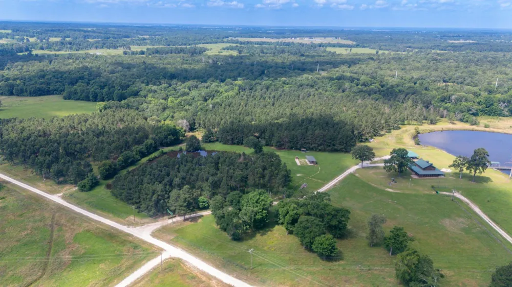 1950 Buckhorn Creek Drive Crockett, TX 75835