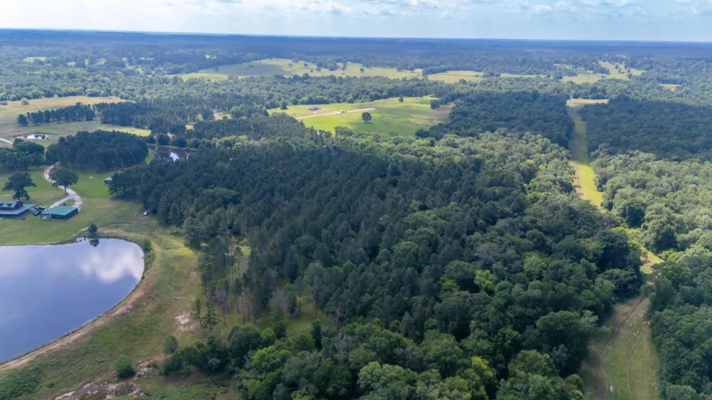 1950 Buckhorn Creek Drive Crockett, TX 75835