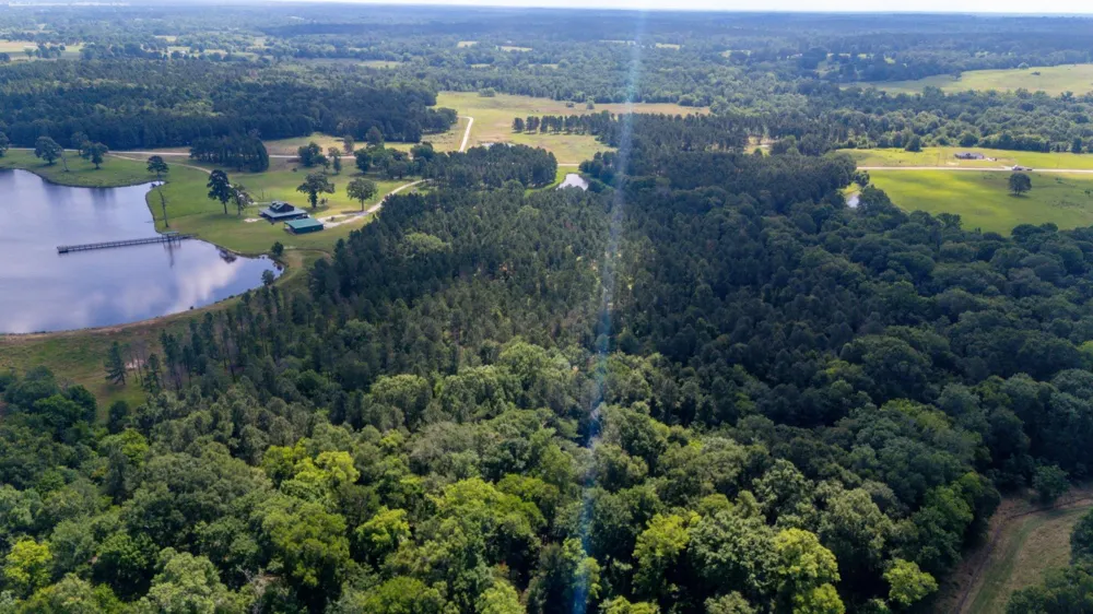 1950 Buckhorn Creek Drive Crockett, TX 75835