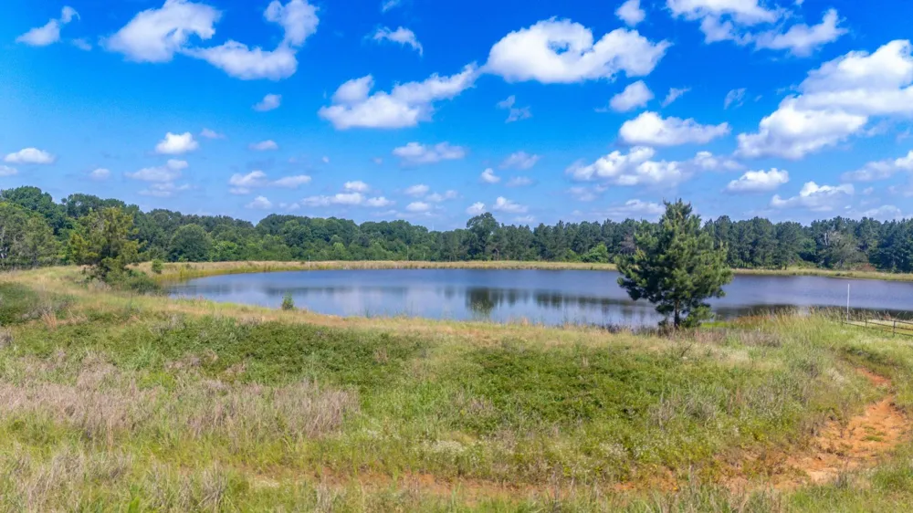 1950 Buckhorn Creek Drive Crockett, TX 75835