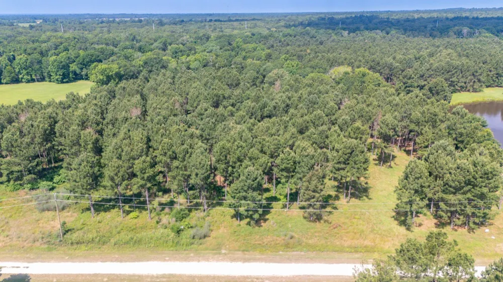 1950 Buckhorn Creek Drive Crockett, TX 75835