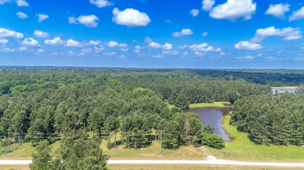 1950 Buckhorn Creek Drive Crockett, TX 75835