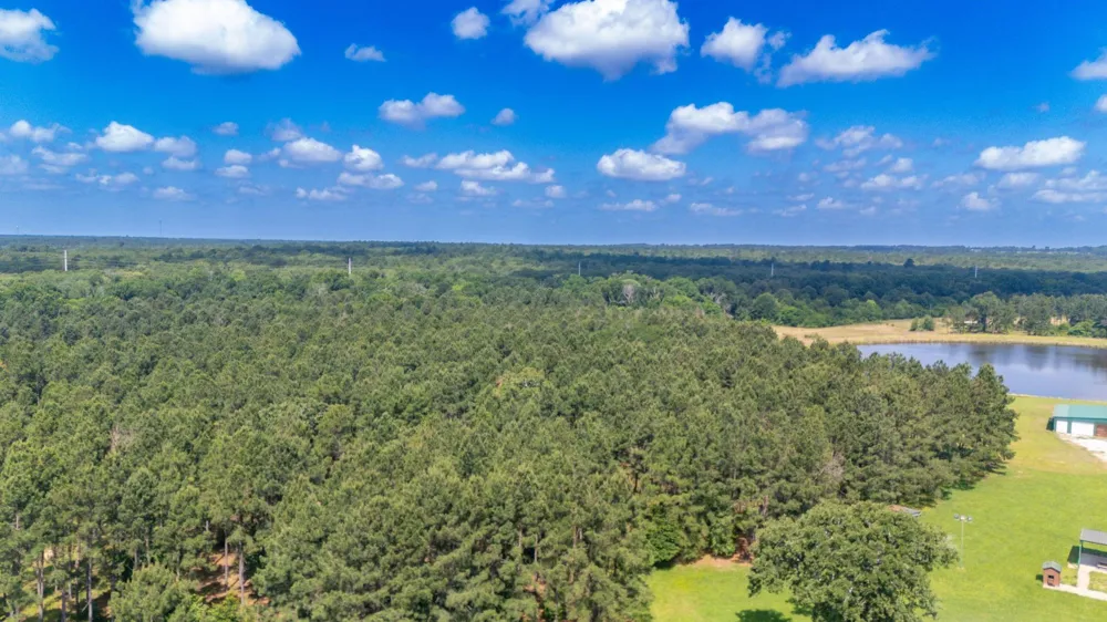 1950 Buckhorn Creek Drive Crockett, TX 75835
