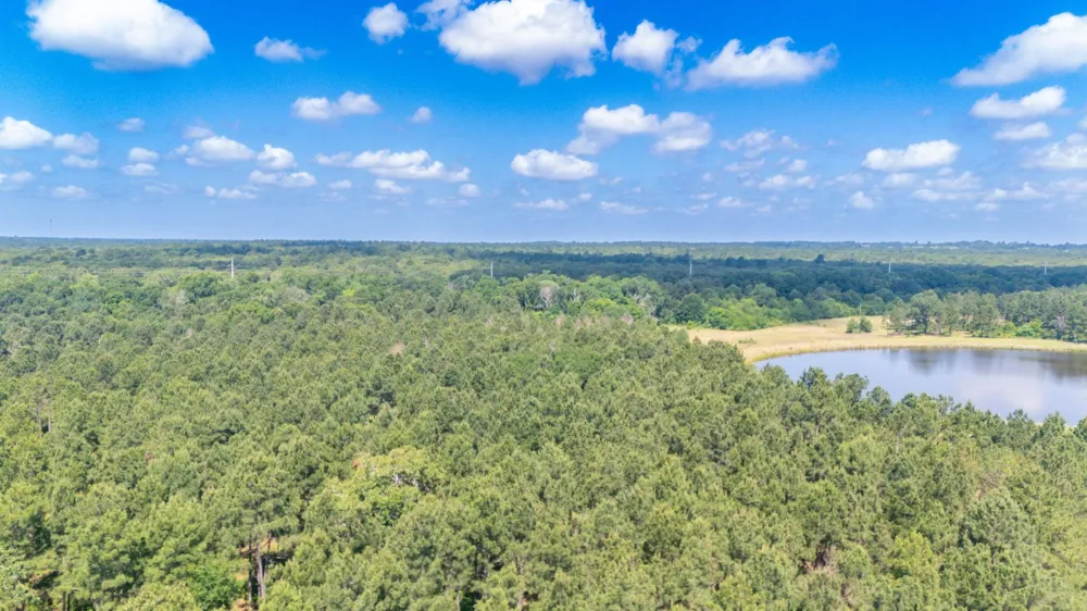 1950 Buckhorn Creek Drive Crockett, TX 75835