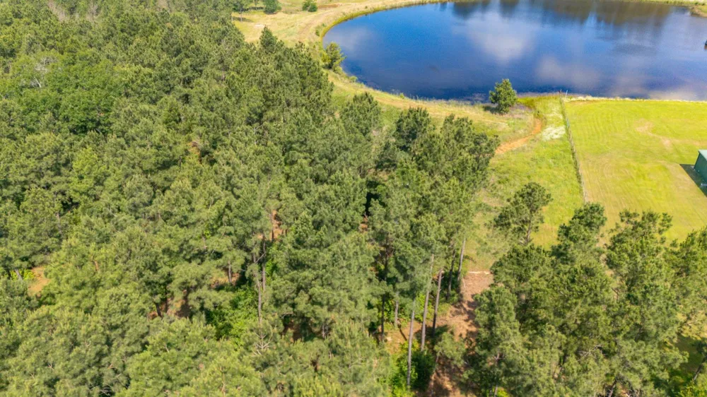 1950 Buckhorn Creek Drive Crockett, TX 75835