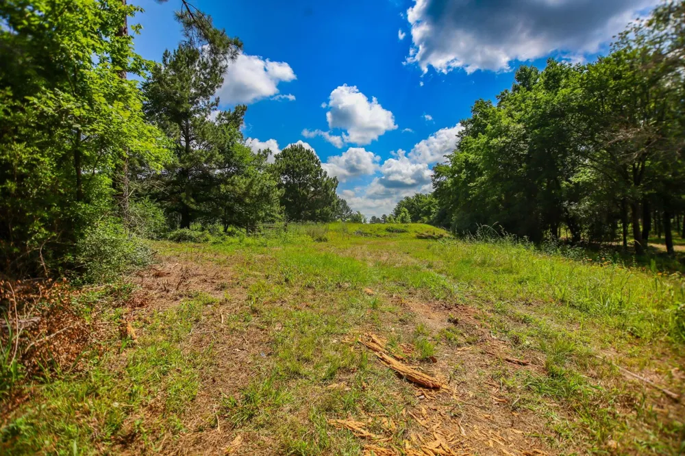 1950 Buckhorn Creek Drive Crockett, TX 75835