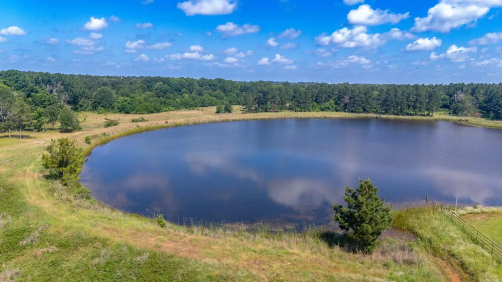1950 Buckhorn Creek Drive Crockett, TX 75835