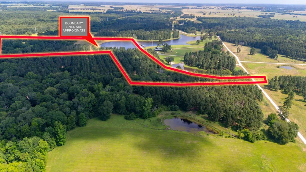 1950 Buckhorn Creek Drive Crockett, TX 75835