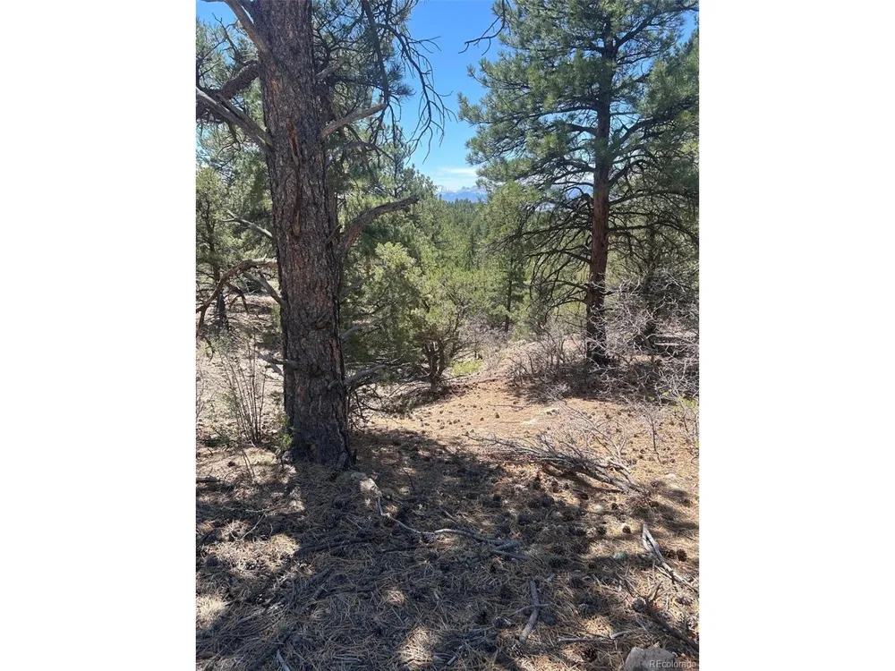 1380 Oak Drive Westcliffe, CO 81252