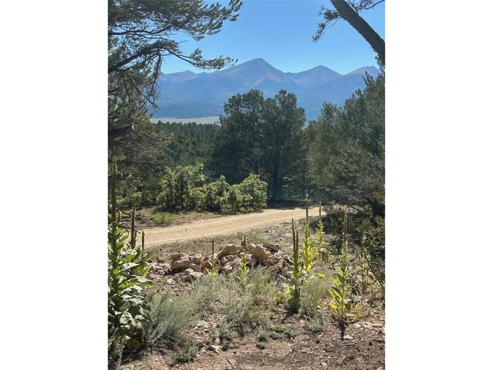 1380 Oak Drive Westcliffe, CO 81252