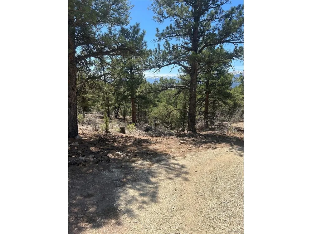 1380 Oak Drive Westcliffe, CO 81252